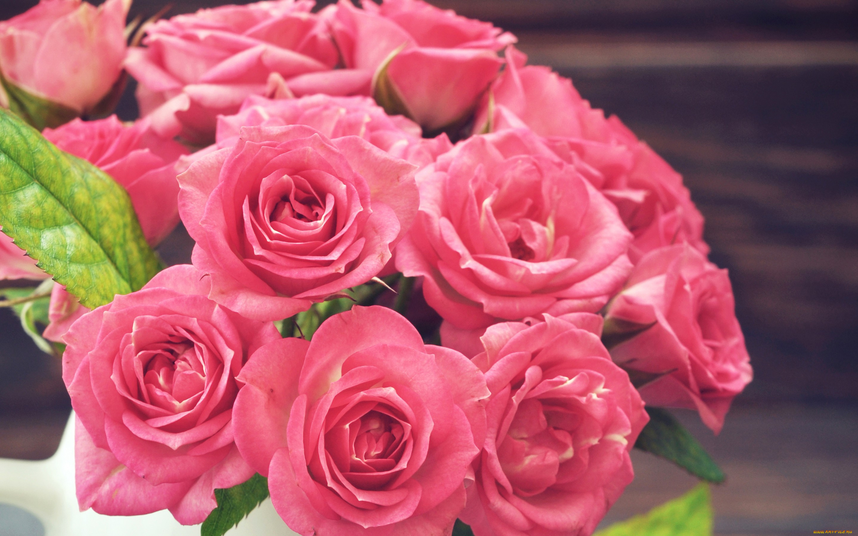 розы цвета фото красивых